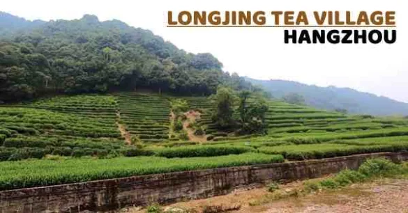Longjiang Tea Village Hangzhou
