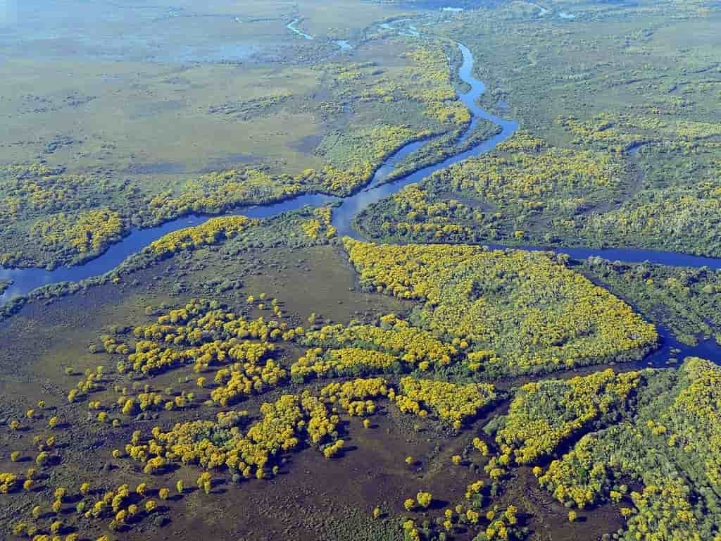 Pantanal