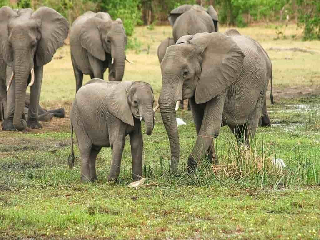 Rwanda