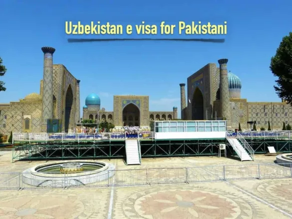 Uzbekistan e visa for Pakistani