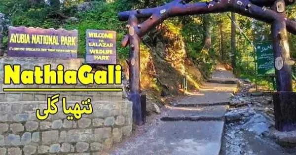 Visit to Nathia Gali